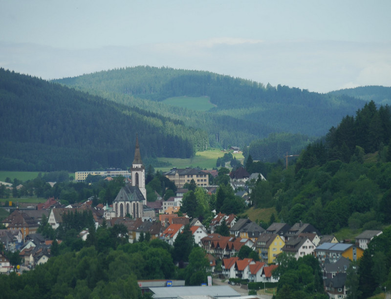 black forest view