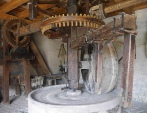 Mittel-Bergheim Olive mill