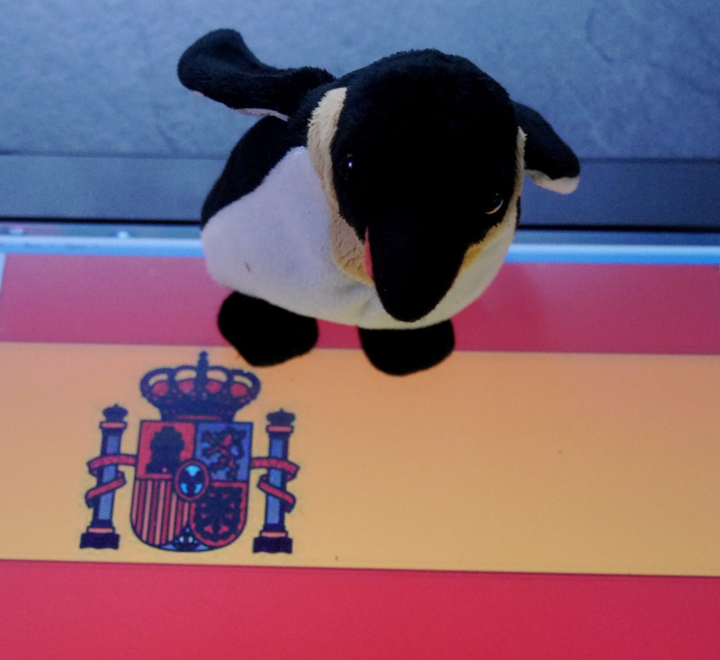 Penguin Very excited to visit Spain