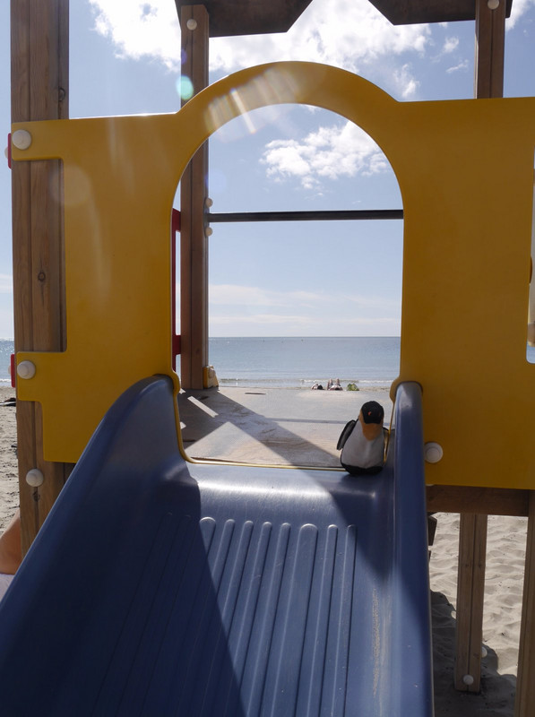 Little penguin went 'wheeeeeee' as he shot down the slide onto the sandy beach. What a sensible place to site a kid's play area.