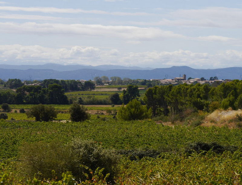 Lovely drive through scenic Languedoc-Roussillon (3)