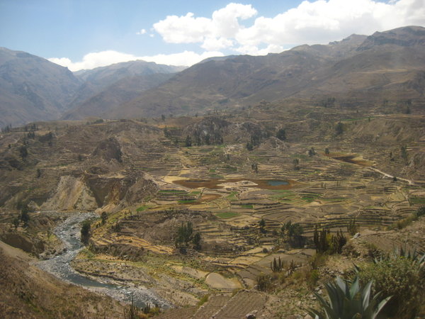 Pre-Incan terracing in the canyon