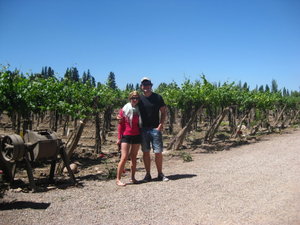 In the vineyards