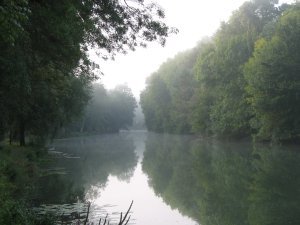 Morning river calm