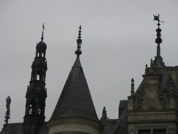 Chateau Chenonceau roof