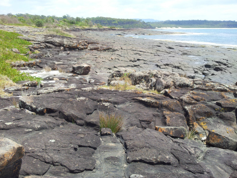 Rocky coast with tidal pools