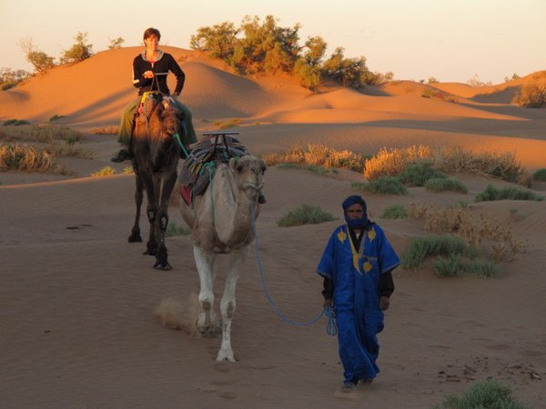 Sunrise camel ride