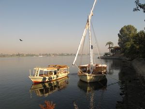 The Nile Breeze