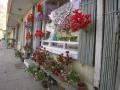 magazinul de flori