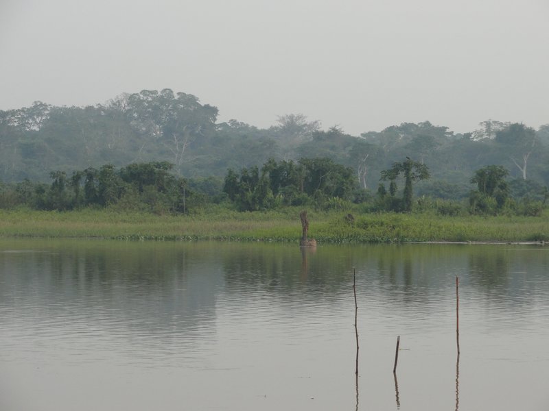 Lake Piranha