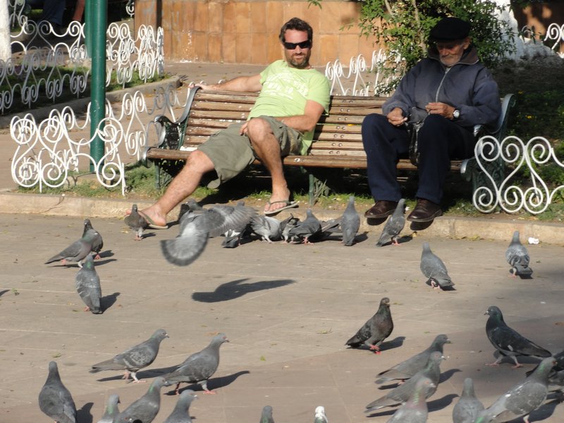 Two old men feeding pigeons