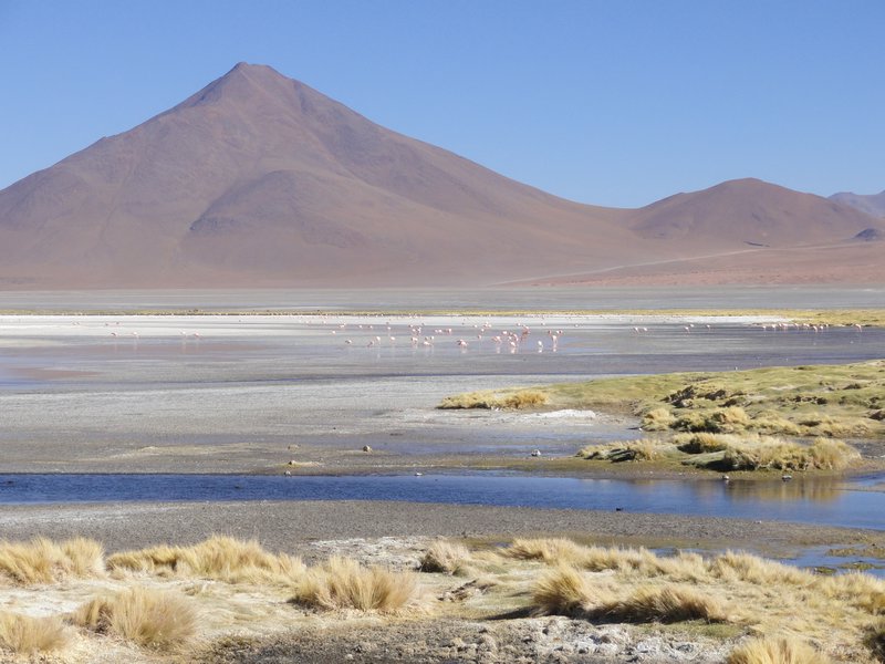 Laguna Colorada