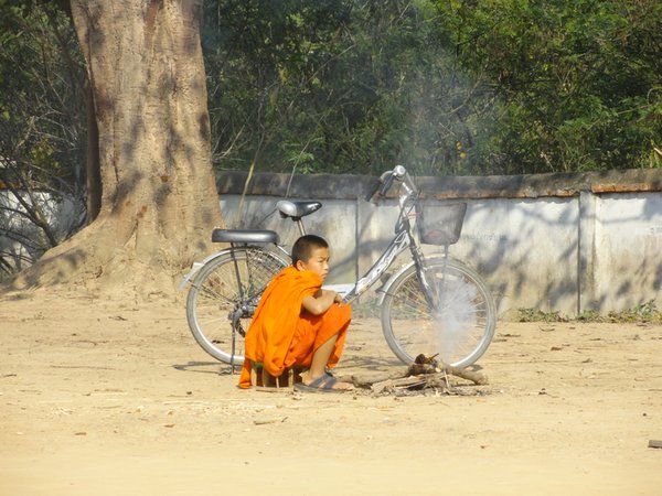 Monk novice 