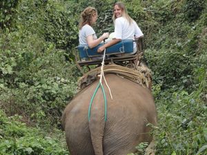 Elephant riding I