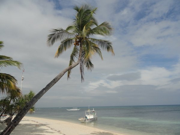 Bounty beach, Malapascua