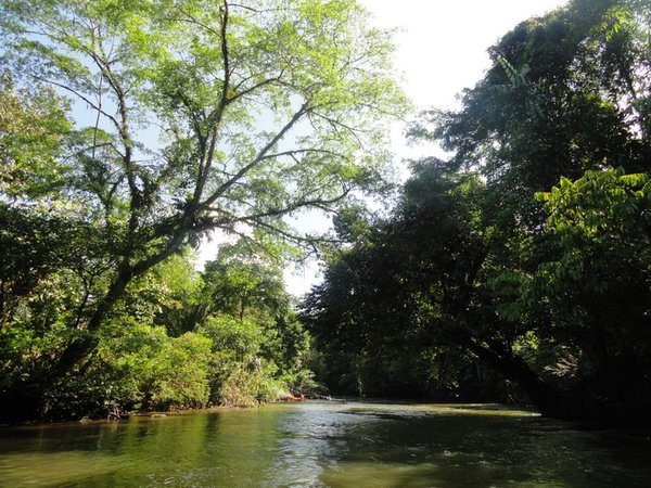 River cruise, Mulu National Park | Photo