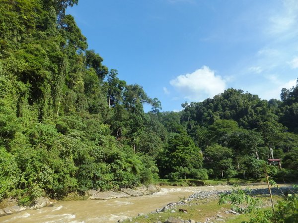 View from our balcony, Bukit Lawang