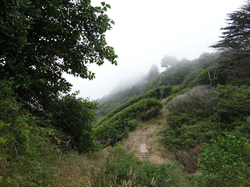 fog rolling off the hills