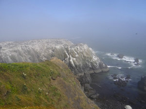 mist blowing across the cliffs