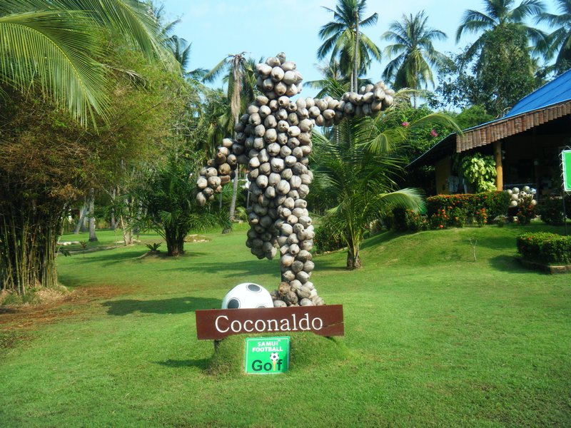 Coconut Ronaldo 
