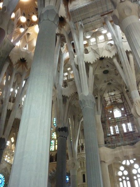 Sagrada Familia Cathedral inside roof
