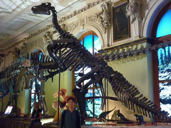 Vienna Nat History Museum dinosaurs