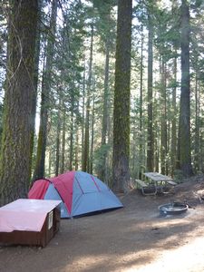 Yosemite Nat Park Crane Flat campground