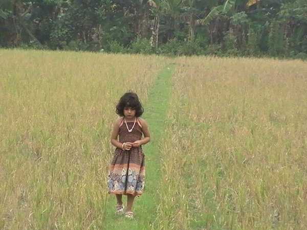 Naomi cerca de las plantaciones de arroz