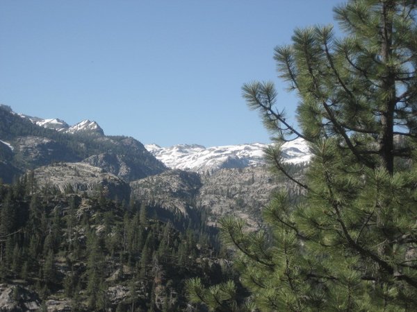 View from Kennedy Meadow, Sonora Pass