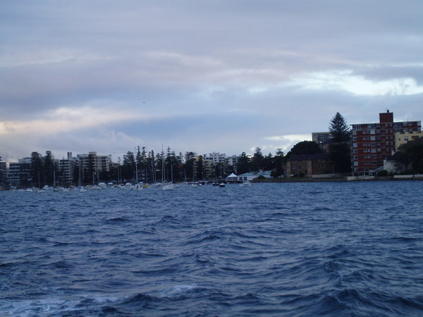 Manly from the boat