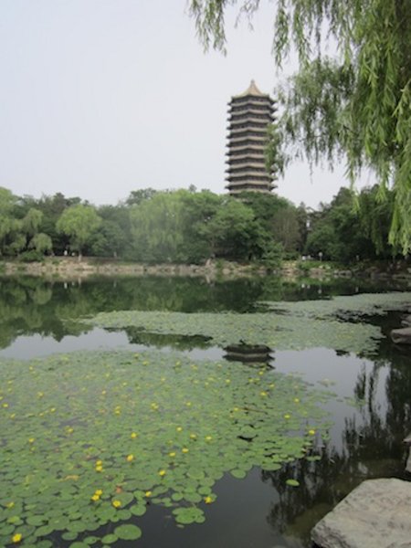 Tower, Lily Pads