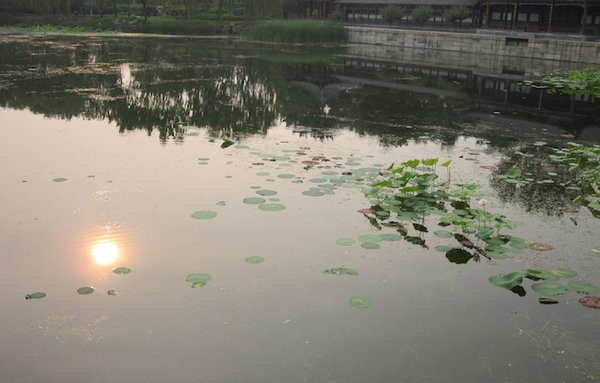 Reflection of the Setting Sun