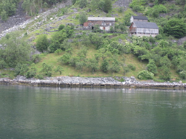 Farm along Geiranger Fjord