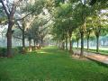Cubbon Park - ideal place for morning walkers
