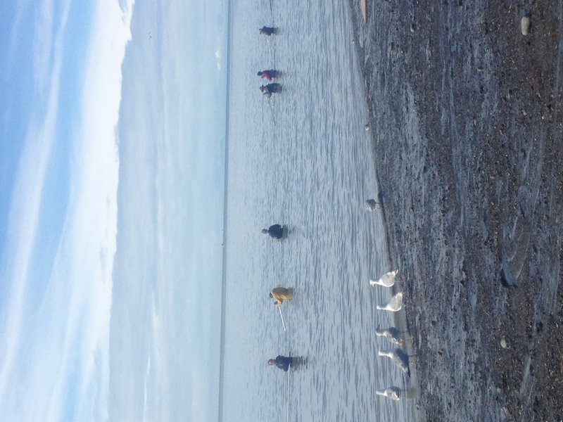 The beach in Kenai was loaded with local Alaskans all dipnetting