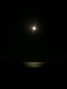 a moonlight walk along the beach