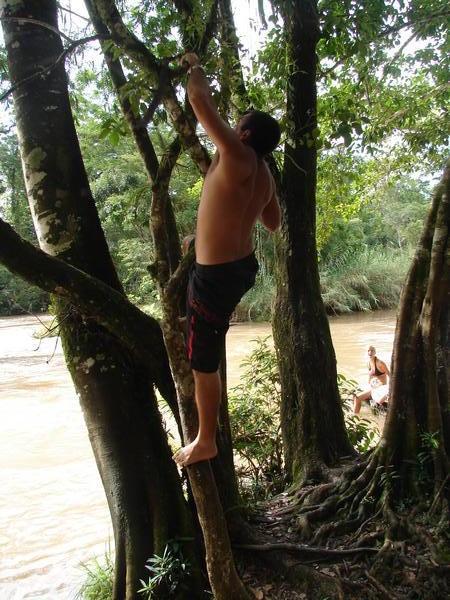 the caveman climbing trees for sticks to grab rope swings with