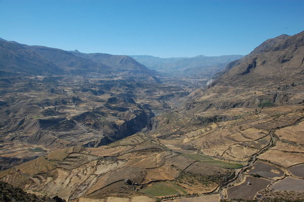 Colca Valley with Farming Terraces