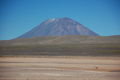 El Misti Volcano with Vicunas in front
