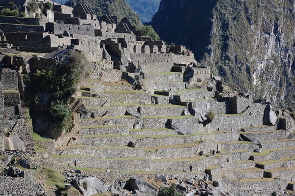 Terraces and Buildings in Macchu Picchu