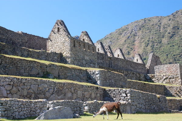 Inside Macchu Picchu with LLama