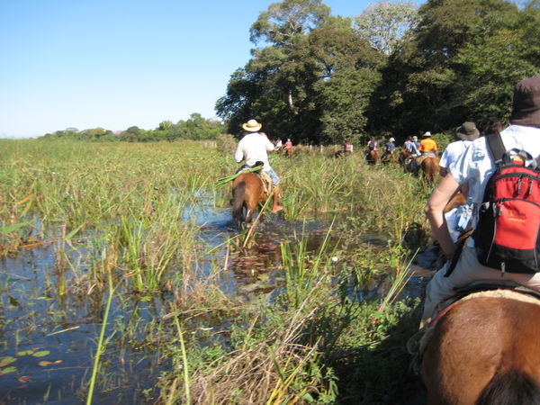 Horseback Riding through the Wetlands of the Pantanal