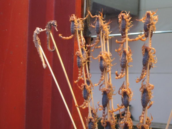 Scorpion on a stick in Wangfujing