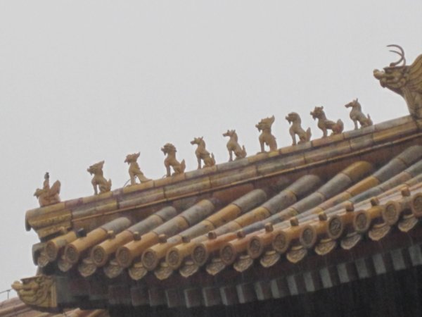 Close up of Forbidden city