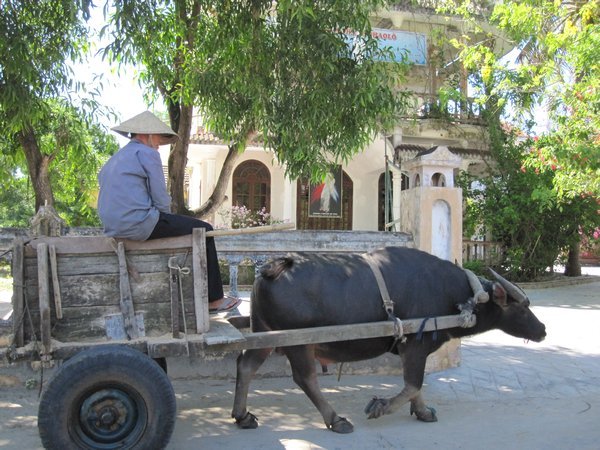 Rural life in Hue