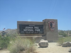 Joshua Tree, Las Vegas 001