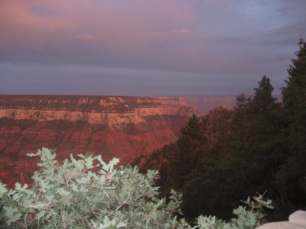 Zion, Grand Canyon 008