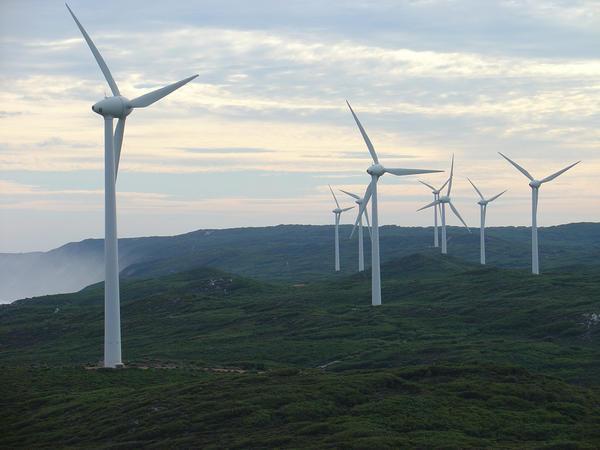 Wind Farm at Albany