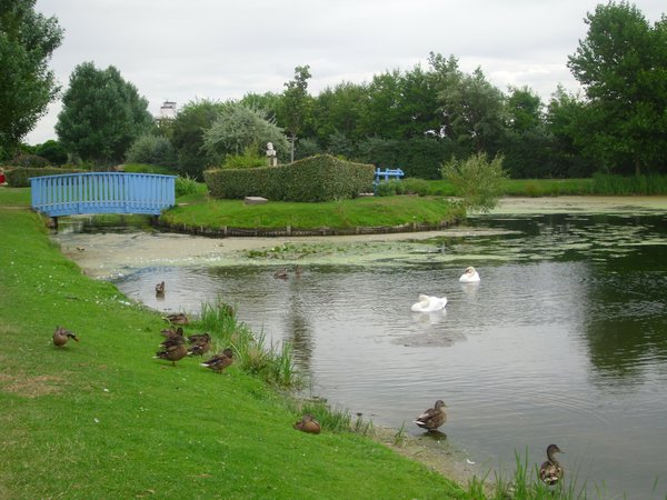 Pretty pond