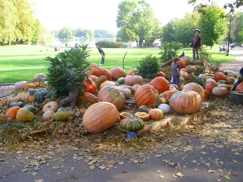 Squash decorations in the park